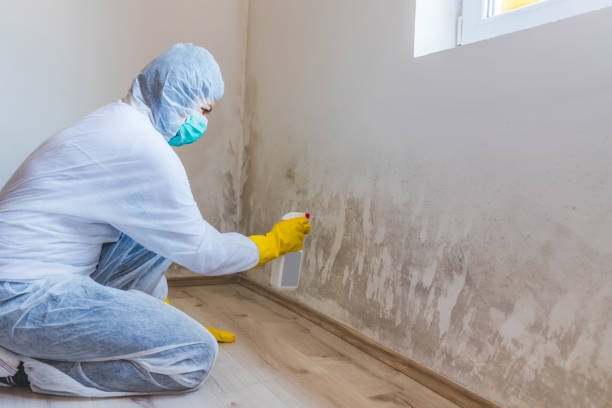 Mold Remediation specialist working in Erie
